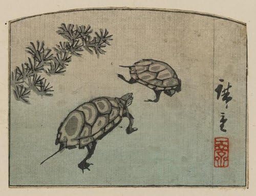HistoricalFindings Fotó: Kame,Hiroshige Ando,Fotó Ukiyo-e,Japán,Teknősök,Állatok,1848-1858