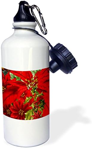 3dRose Karácsonyi Mikulásvirág nyomtatás hollyval, s a fenyő is ismert, mint a Csillag Virág Sport kulacs, 21 oz, Fehér
