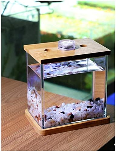 hanxiaoyishop akvárium Személyiség Kreatív Üveg akvárium, Akvárium Nappali Asztal Fashion Asztali Kis Mini Akvárium Hal Tálak