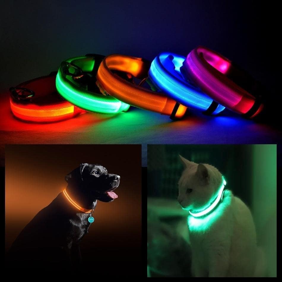 LED PET Biztonsági Halo Stílus Gallér