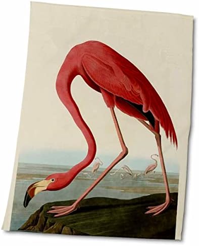 3dRose Florence Madarak - Vintage Pink Flamingo - Törölköző (twl-48221-1)