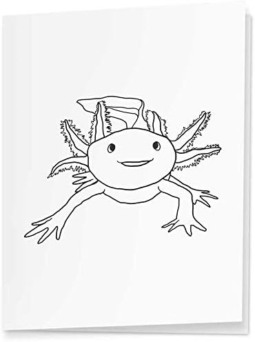 Azeeda 4 x 'Axolotl' Ajándék Kategória/Címkék (GI00034959)