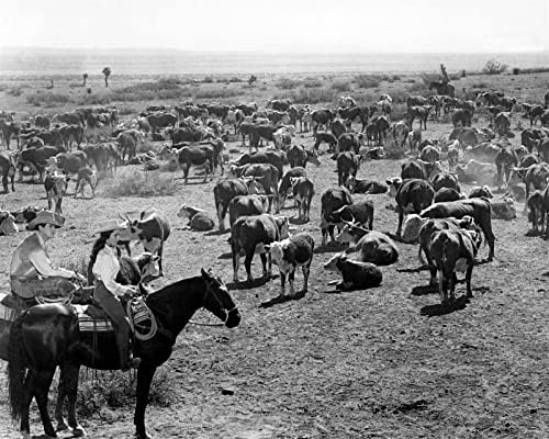Óriási Rock Hudson & Elizabeth Taylor lóháton Texasi farm 8x10 fotó